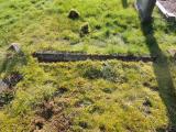 image of grave number 763674